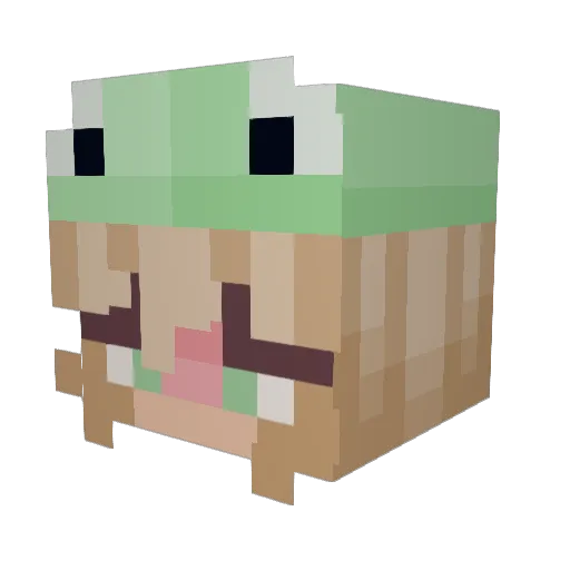 JustxFaye Minecraft avatar head, 3D render