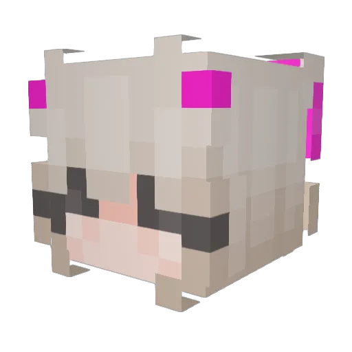 JustynkaPros Minecraft avatar head, 3D render