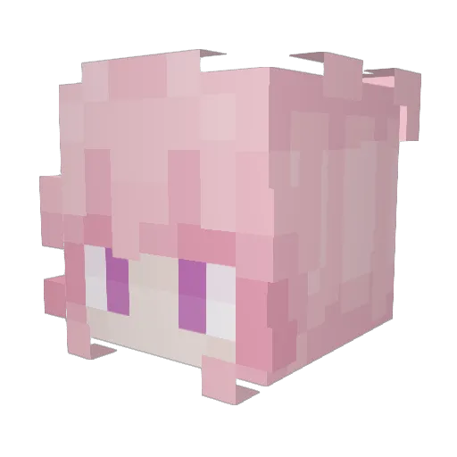 Jutelie Minecraft avatar head, 3D render