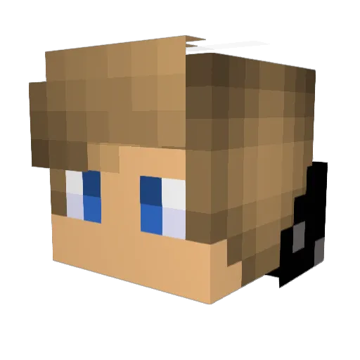 Juu2904 Minecraft avatar head, 3D render