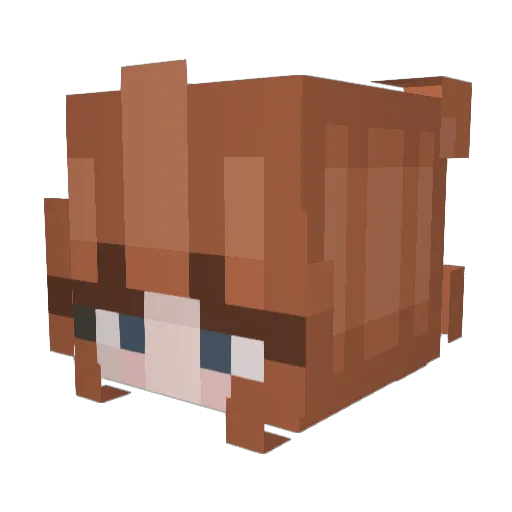Juulieya Minecraft avatar head, 3D render