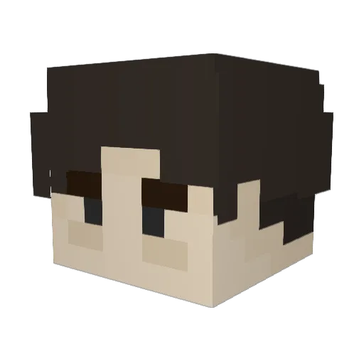 Juunibyou Minecraft avatar head, 3D render