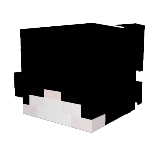 Juuqn Minecraft avatar head, 3D render