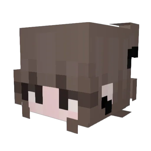 Juuxiaa Minecraft avatar head, 3D render