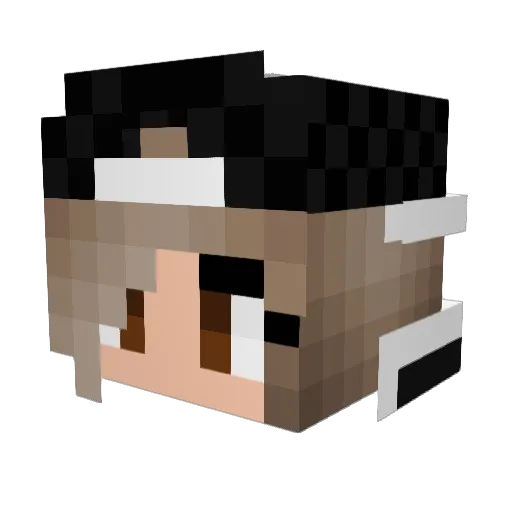 Juwelchen Minecraft avatar head, 3D render
