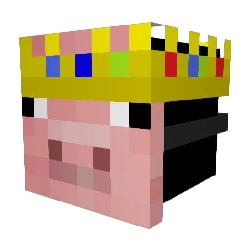 Jvdw04 Minecraft avatar head, 3D render