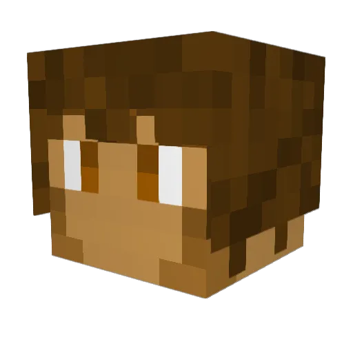 Jvmpin Minecraft avatar head, 3D render