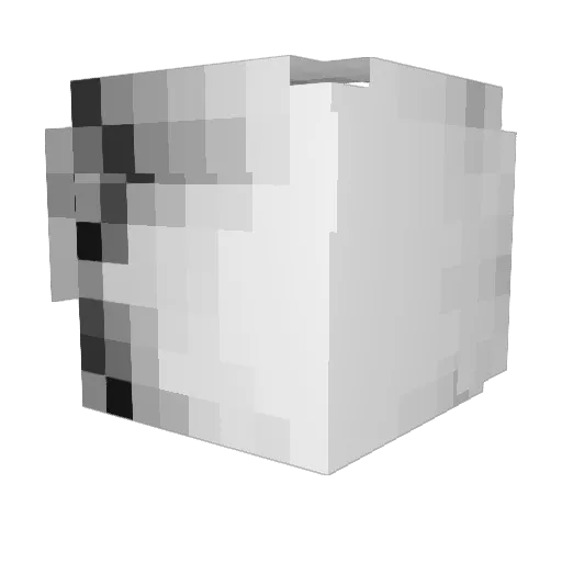 Jvnxxs Minecraft avatar head, 3D render