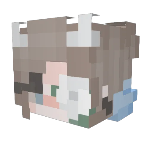 Jvrinx Minecraft avatar head, 3D render