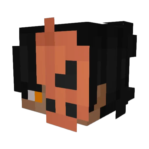 JvvB Minecraft avatar head, 3D render