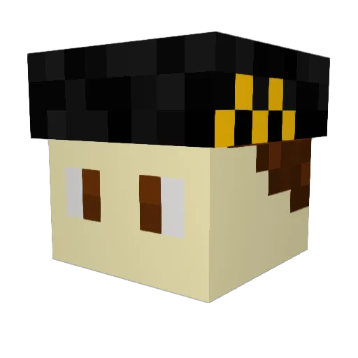 Jvw1312 Minecraft avatar head, 3D render