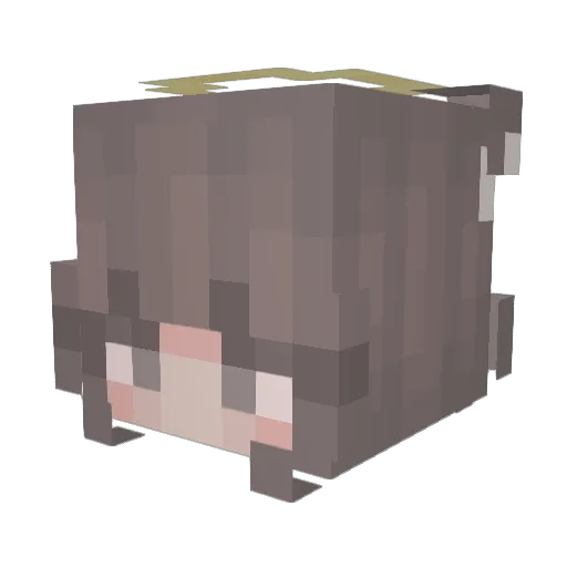 Jvxuu Minecraft avatar head, 3D render