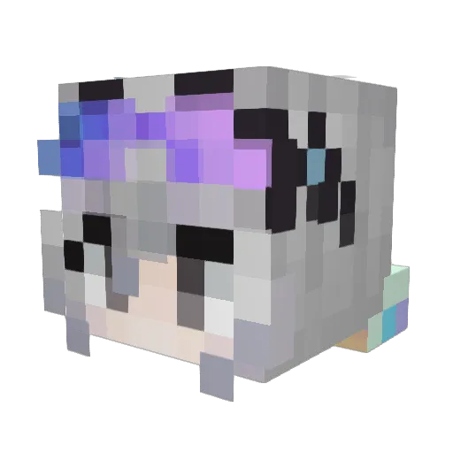 Jw_970 Minecraft avatar head, 3D render