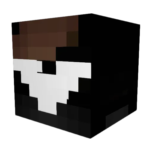 Jwbatman14 Minecraft avatar head, 3D render