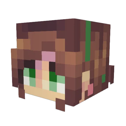 Jwenni Minecraft avatar head, 3D render