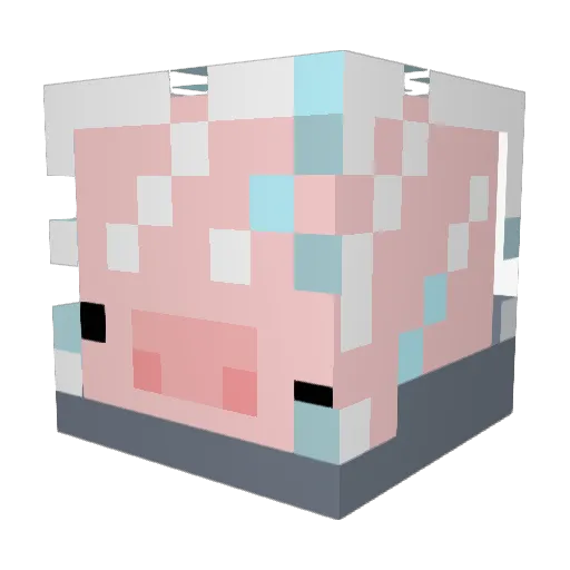 Jwhy1 Minecraft avatar head, 3D render