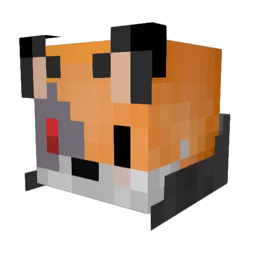 Jwnsgsu Minecraft avatar head, 3D render