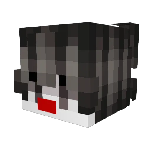 Jwnv Minecraft avatar head, 3D render