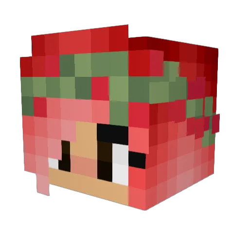 Jwvanderlinden Minecraft avatar head, 3D render