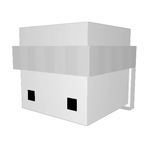 Jx1Bx1 Minecraft avatar head, 3D render
