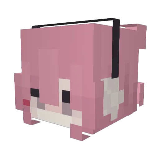 JxM2544 Minecraft avatar head, 3D render