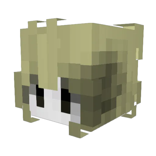 JxScope Minecraft avatar head, 3D render