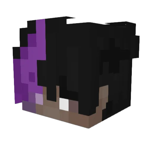 Jxdyn Minecraft avatar head, 3D render