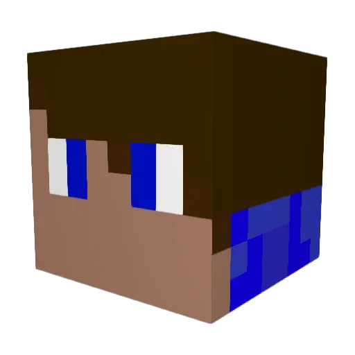 Jxn2205 Minecraft avatar head, 3D render