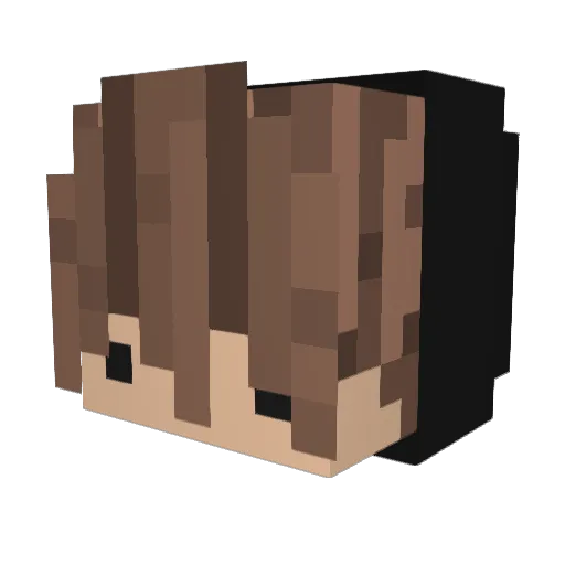 JxnDasEchte Minecraft avatar head, 3D render