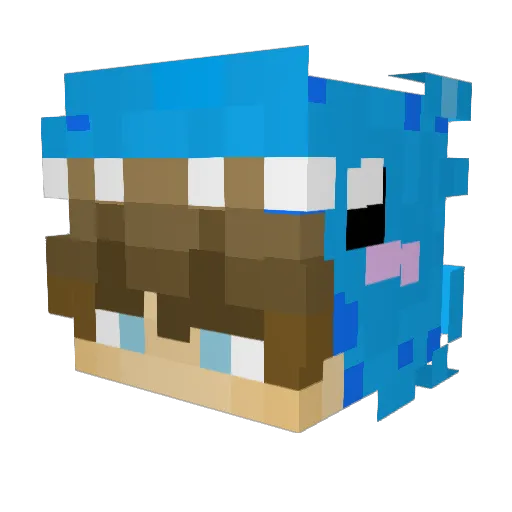 Jxnas1309 Minecraft avatar head, 3D render