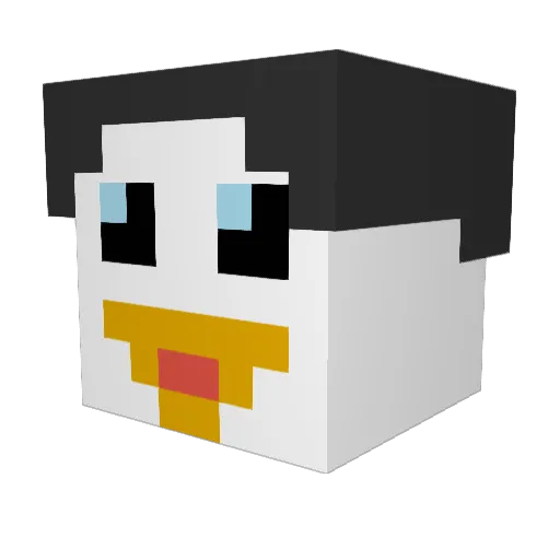 Jxnas26 Minecraft avatar head, 3D render