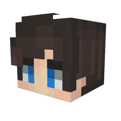Jxni112 Minecraft avatar head, 3D render