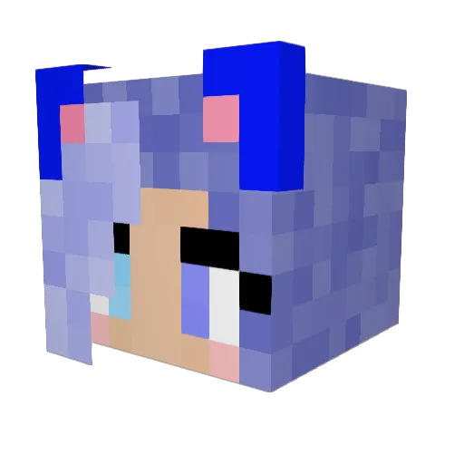 Jxnx1510 Minecraft avatar head, 3D render