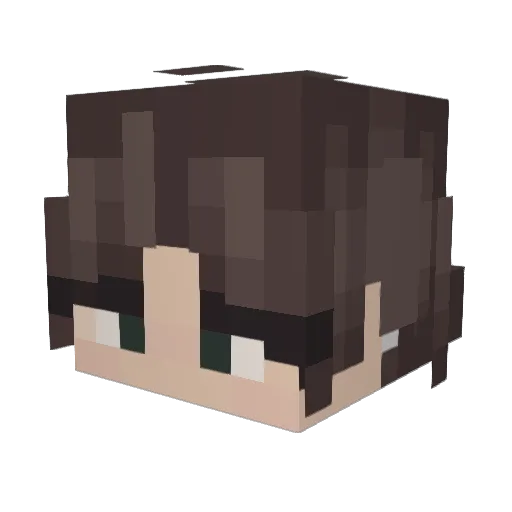 Jxrdanl Minecraft avatar head, 3D render