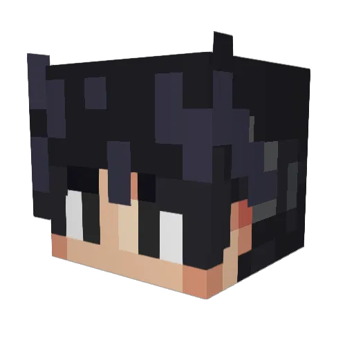 Jxricho_ Minecraft avatar head, 3D render