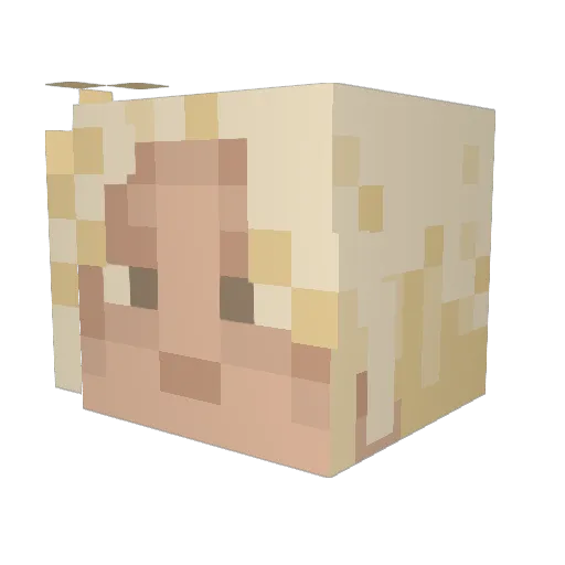 Jxsim Minecraft avatar head, 3D render