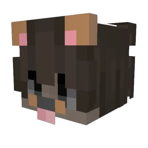 Jxtzce Minecraft avatar head, 3D render