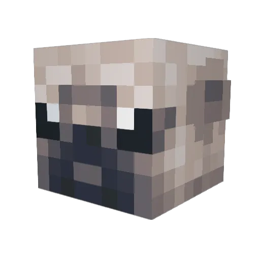 Jxviier_ Minecraft avatar head, 3D render