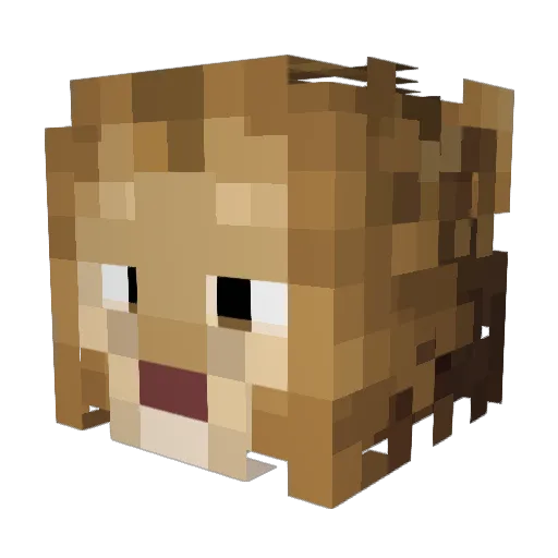 Jxydzns Minecraft avatar head, 3D render