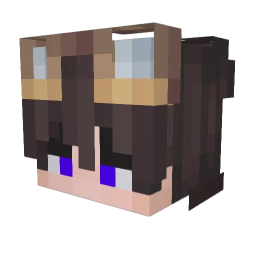 Jxylerr Minecraft avatar head, 3D render