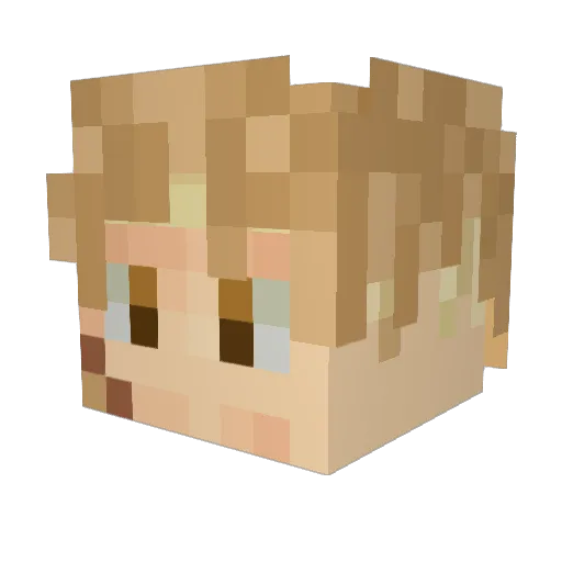 JyNX_Young Minecraft avatar head, 3D render