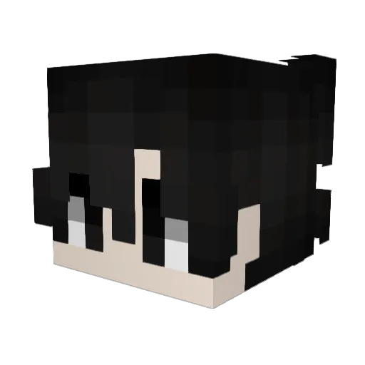 Jyede Minecraft avatar head, 3D render