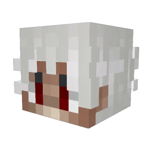 Jynowh Minecraft avatar head, 3D render