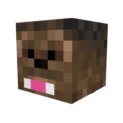 Jyntt Minecraft avatar head, 3D render