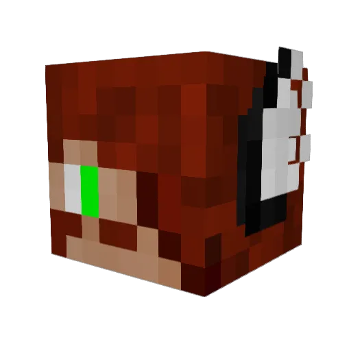 Jynx245 Minecraft avatar head, 3D render