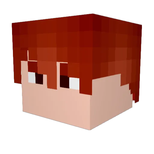 Jyqwa Minecraft avatar head, 3D render
