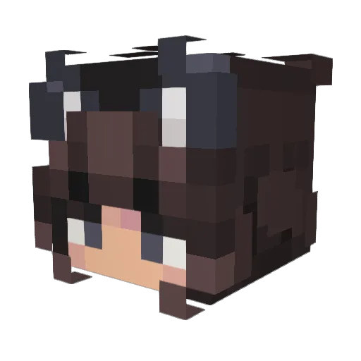 Jyropical Minecraft avatar head, 3D render