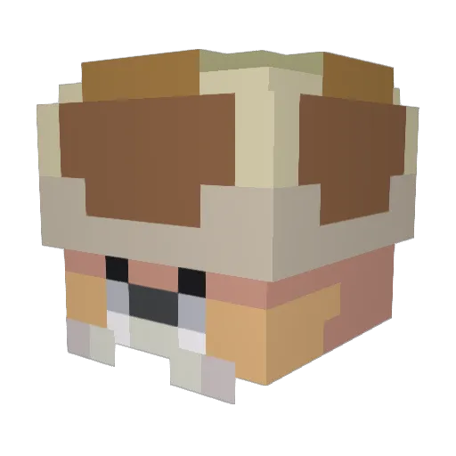 JzameJ Minecraft avatar head, 3D render