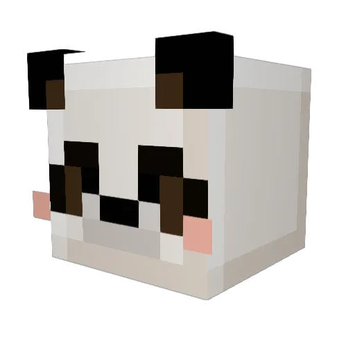 Jzn_23 Minecraft avatar head, 3D render
