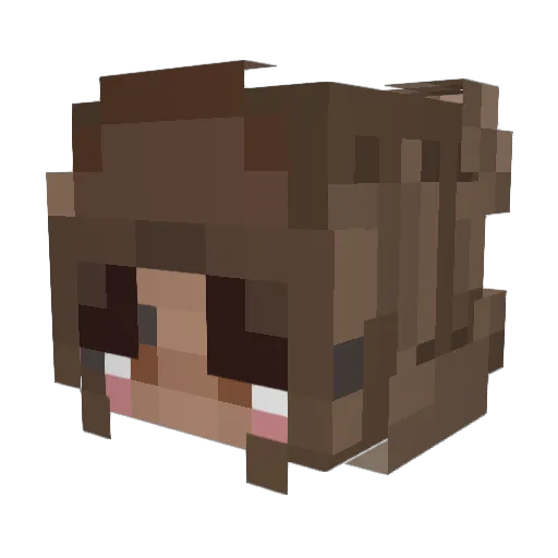 K00LK11D Minecraft avatar head, 3D render